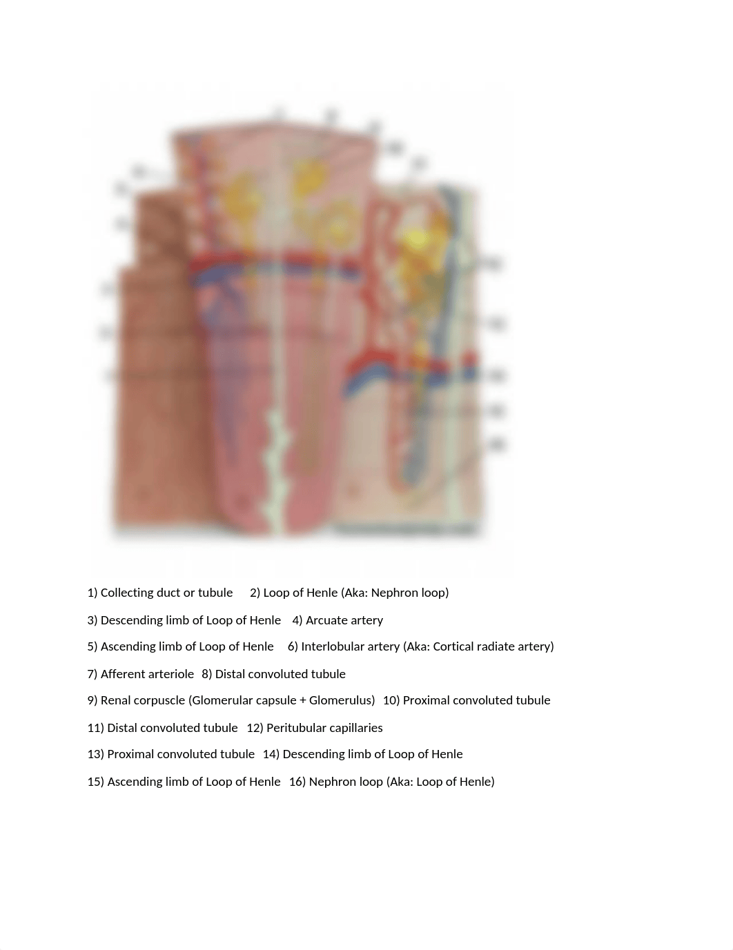 practial 2 .docx_dnpbbr5hmje_page1