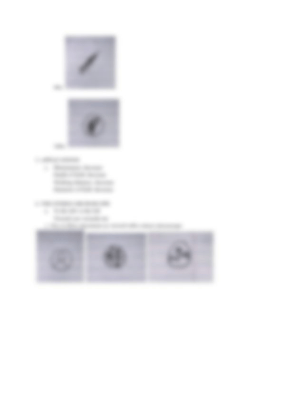 Lab Report Exercise 2_ The Microscope.pdf_dnpex7ho60p_page2