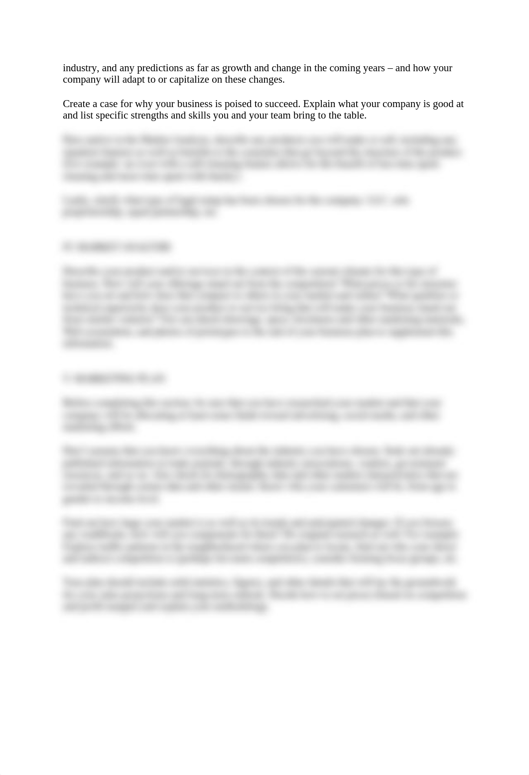 Startup_Business_Plan_Explanatory_Text.doc_dnpfjmqa453_page2