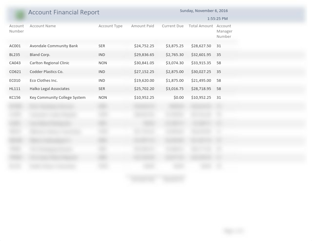 vdm Account Financial Report.pdf_dnphfncxz4n_page1