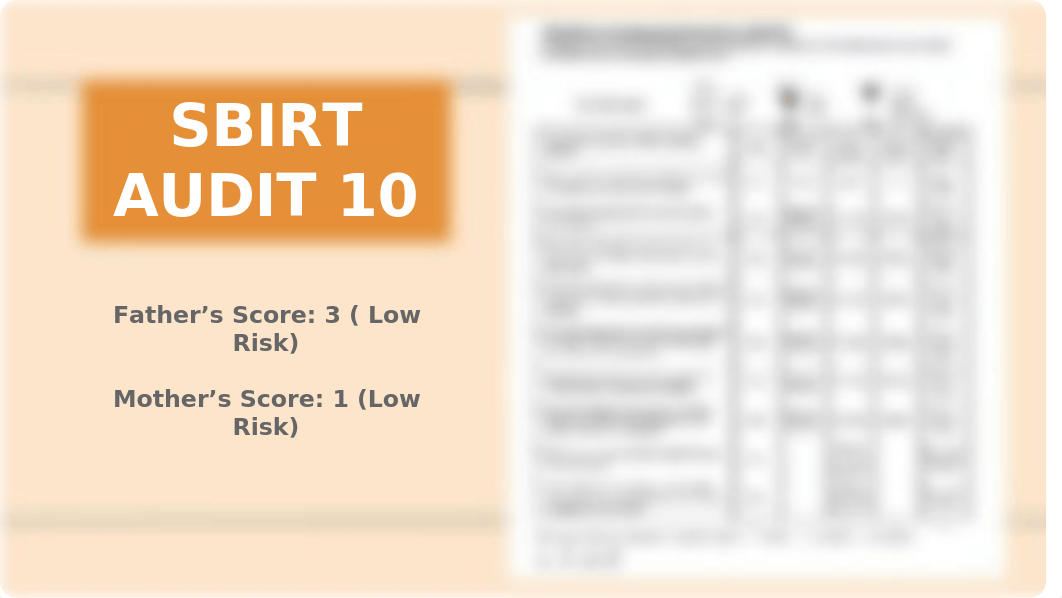 Family Assessment.pptx_dnphz6yz29e_page5