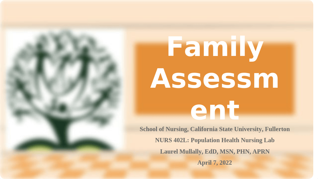 Family Assessment.pptx_dnphz6yz29e_page1