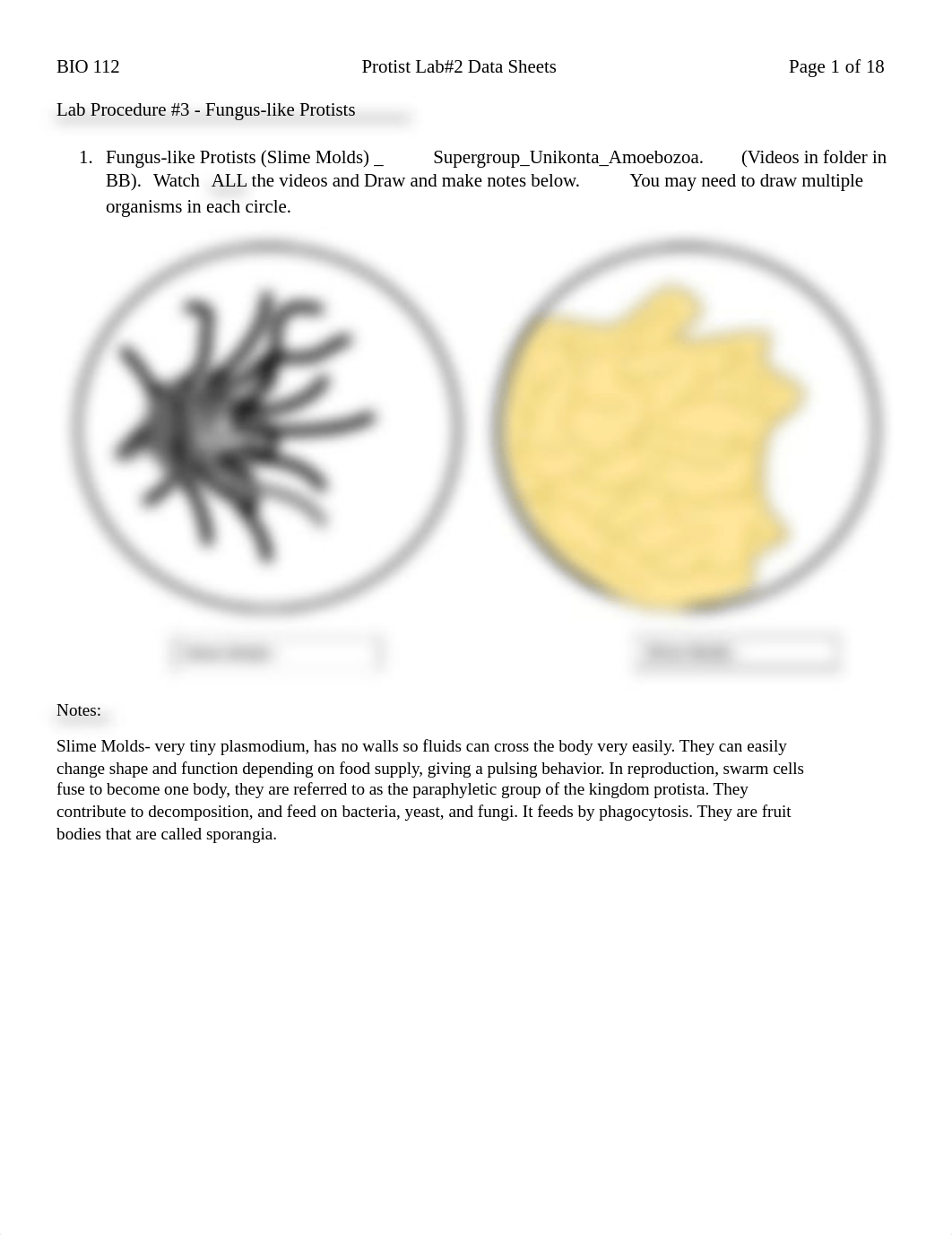 Protist Lab #2 Data Sheets.pdf_dnpkj6qpr4v_page1