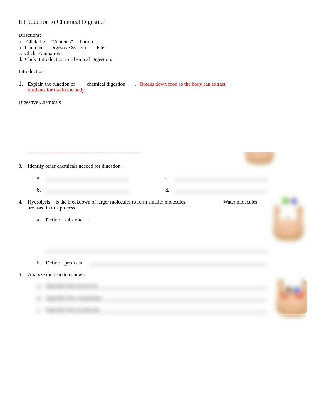 24 Intro Chem Digestion AEd_dnplg49gh2e_page1