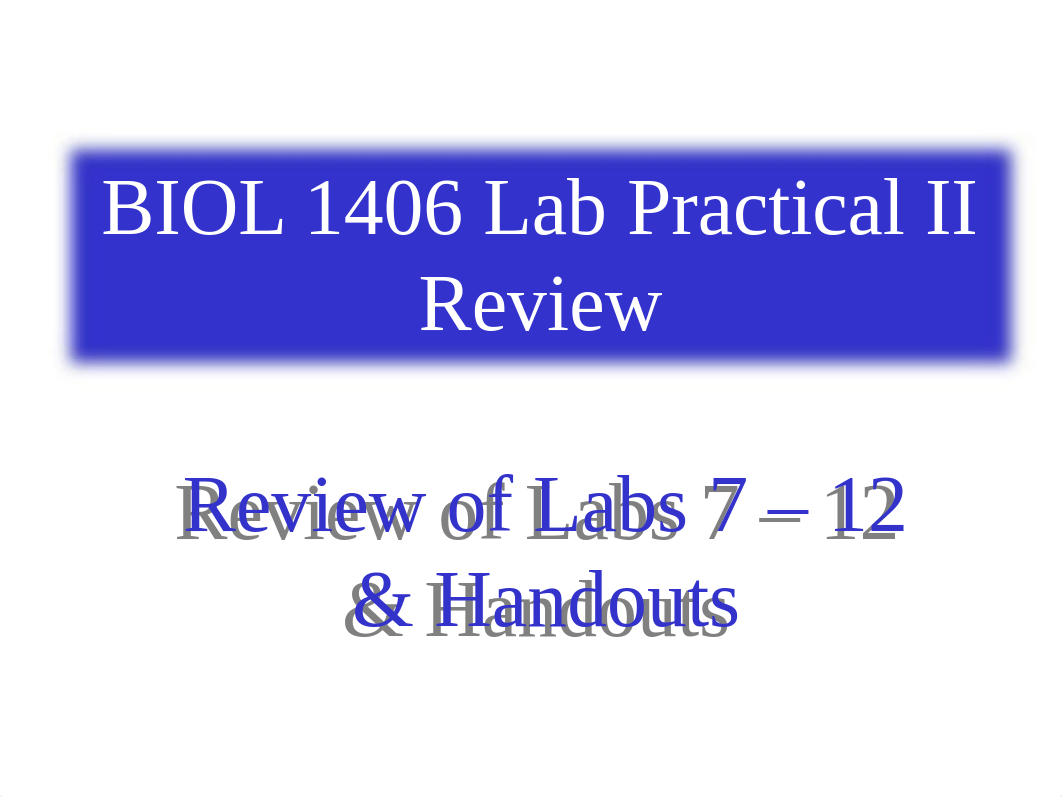 Lab Practical 2 Review_dnploo674xf_page1