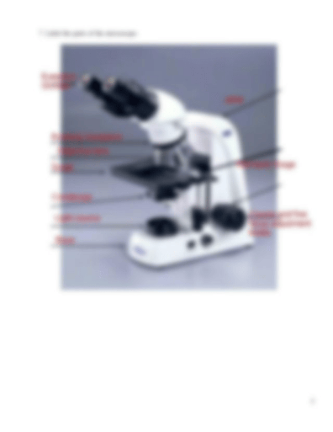 Lab 2 Microscopy & Microscopic Obs Worksheet Su22 DE.pdf_dnpm6k0eln1_page3