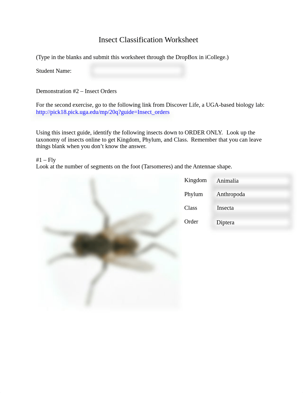 Insect Classification Worksheet.doc_dnpn2lv8chc_page1