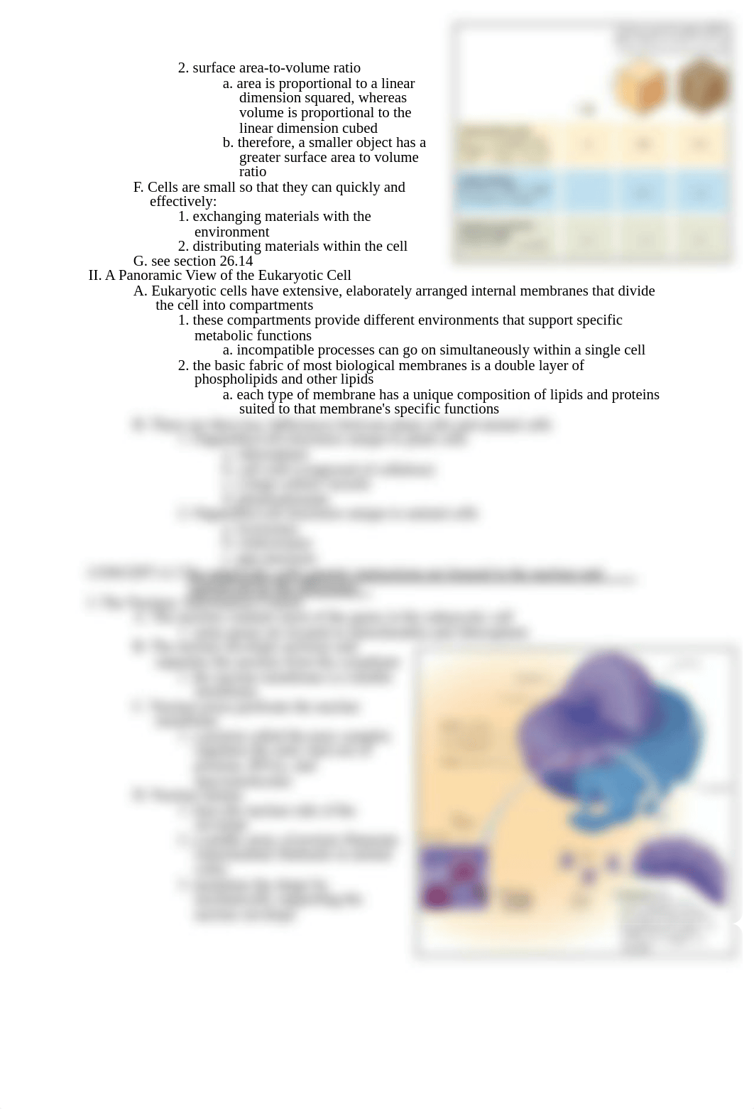 AP_Biology_Chapter_4_Notes.pdf_dnpo7x6s51h_page2