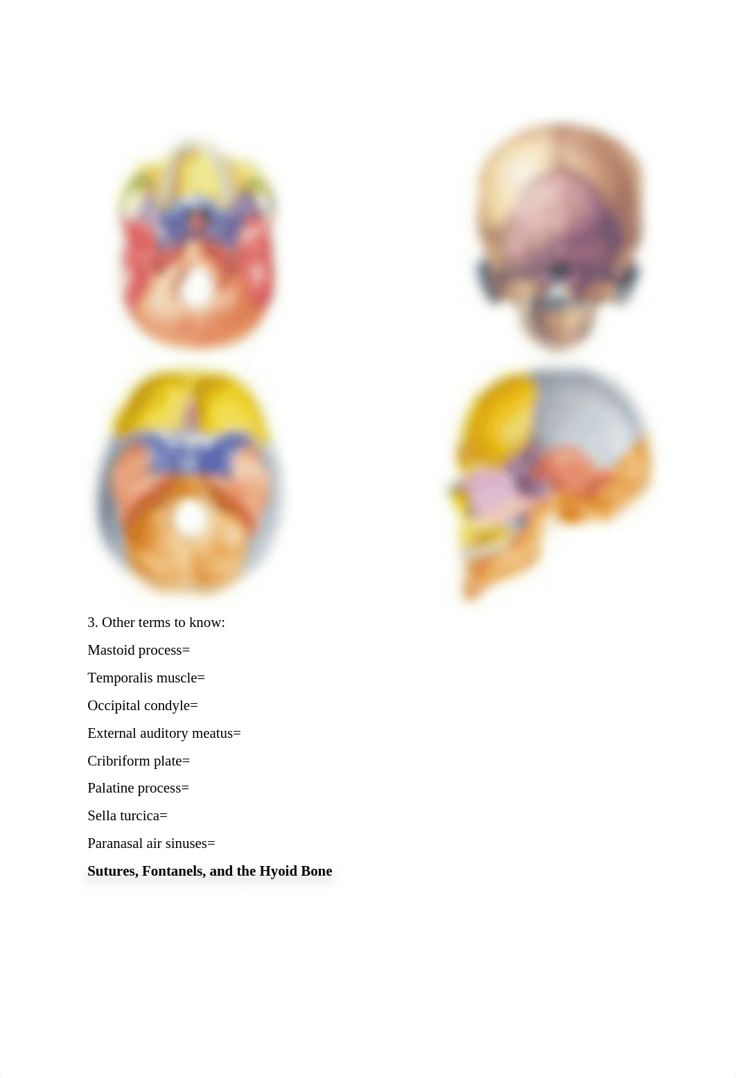 6. The Axial Skeleton Worksheet.docx_dnpohg3acwa_page2