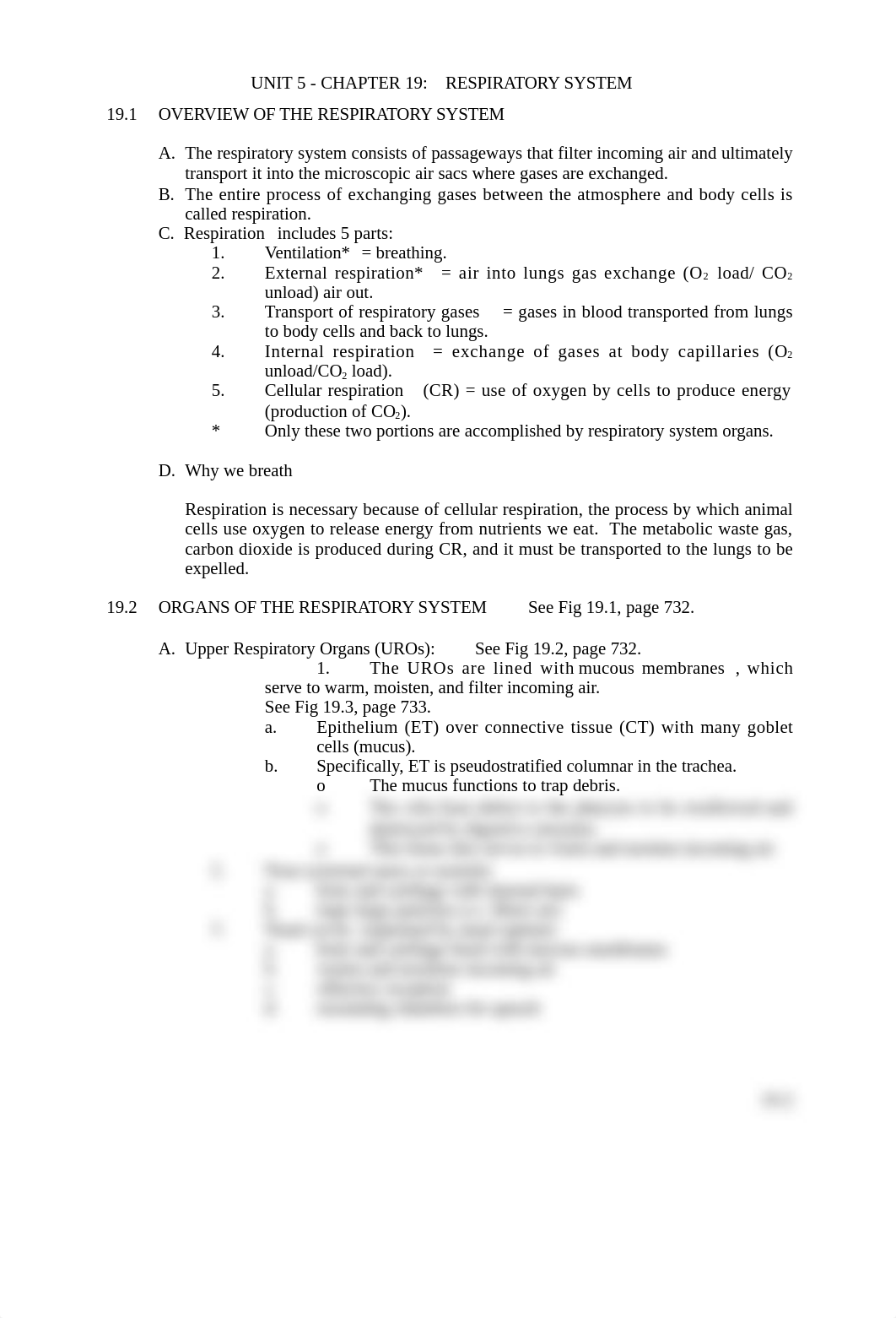 Chapter 19 Respiratory system.doc_dnppay76tjl_page2