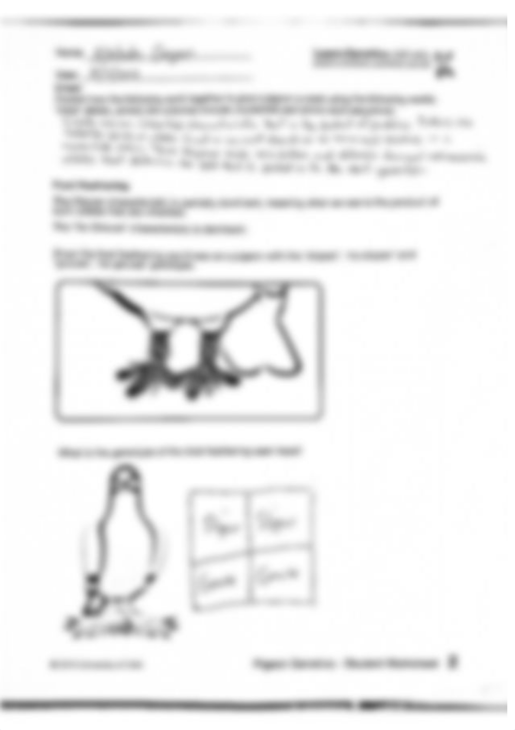 Pigeon Genetics.pdf_dnpqjz4ea5p_page2