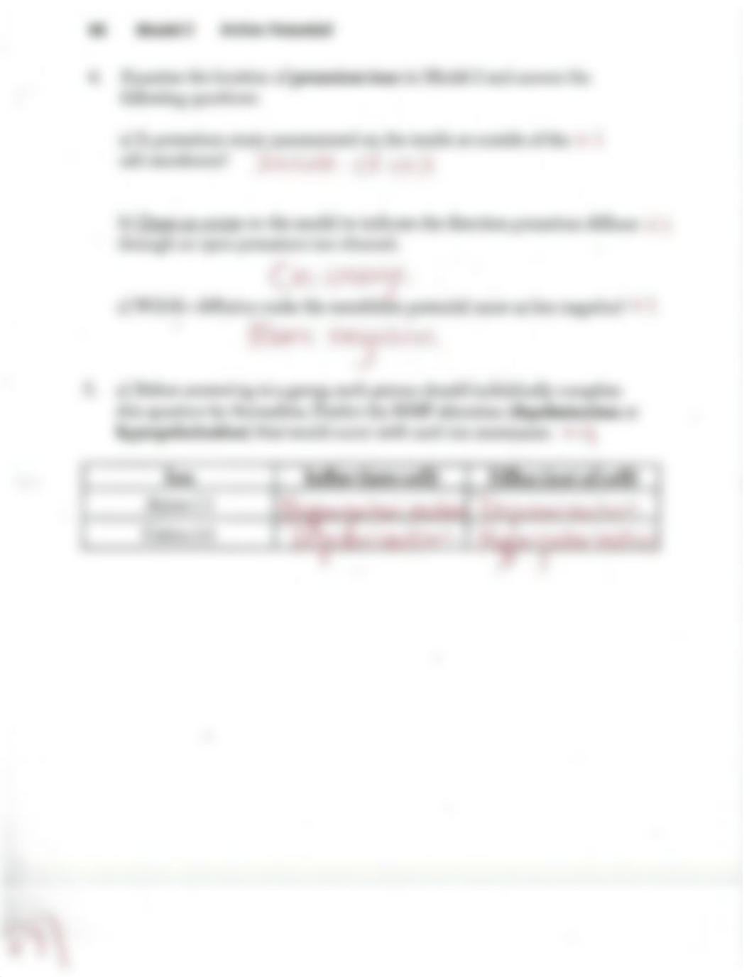 Action Potential Worksheet Answers.pdf_dnpqr5oyy2q_page3