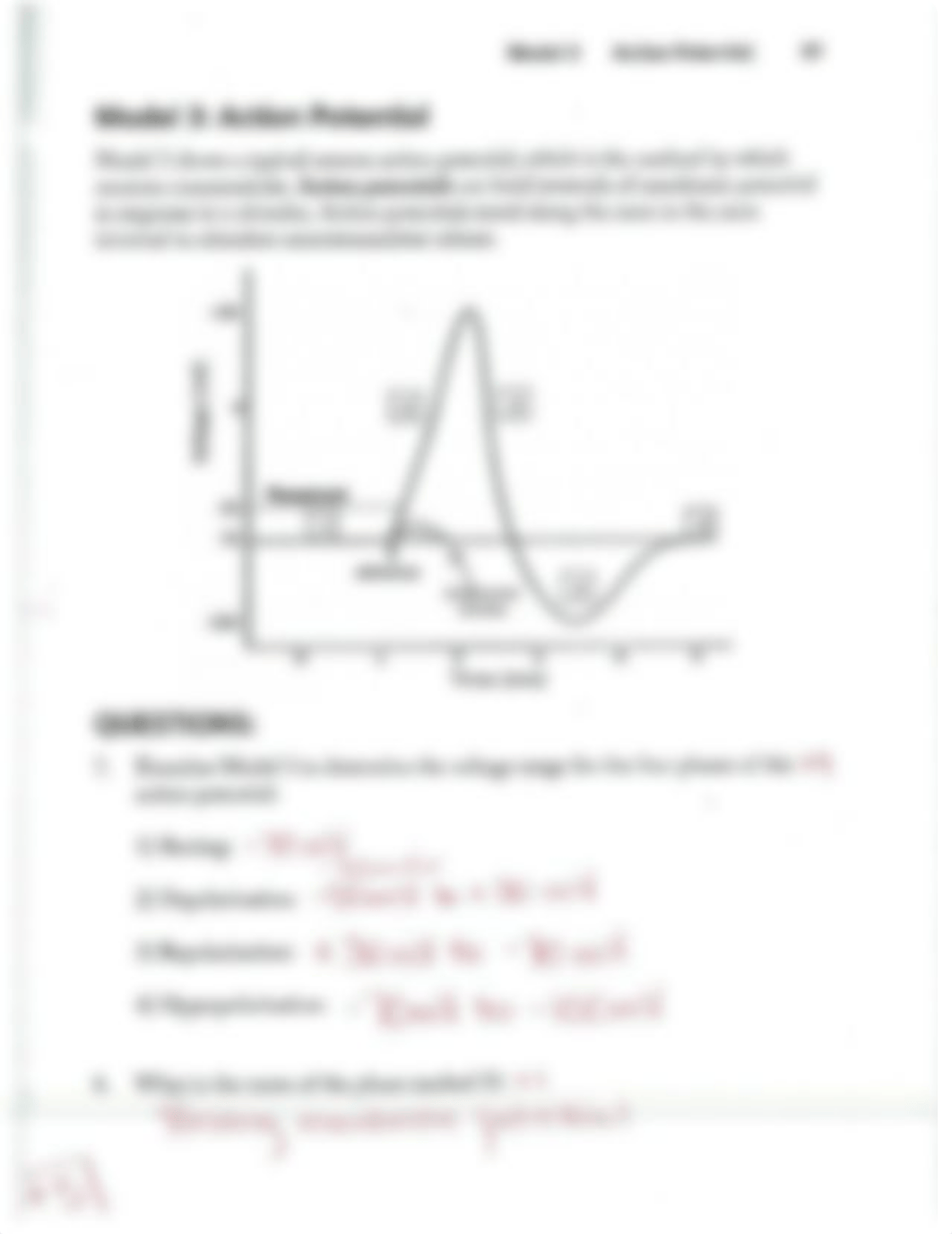 Action Potential Worksheet Answers.pdf_dnpqr5oyy2q_page4