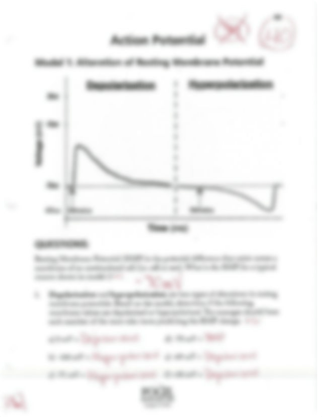 Action Potential Worksheet Answers.pdf_dnpqr5oyy2q_page1