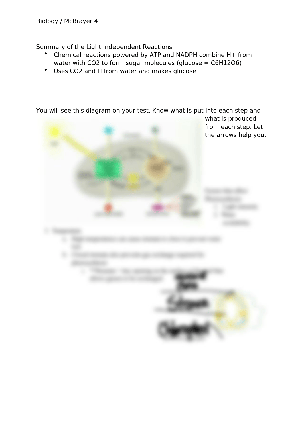 Unit 4 Notes (Biology).docx_dnprns3zpxs_page5