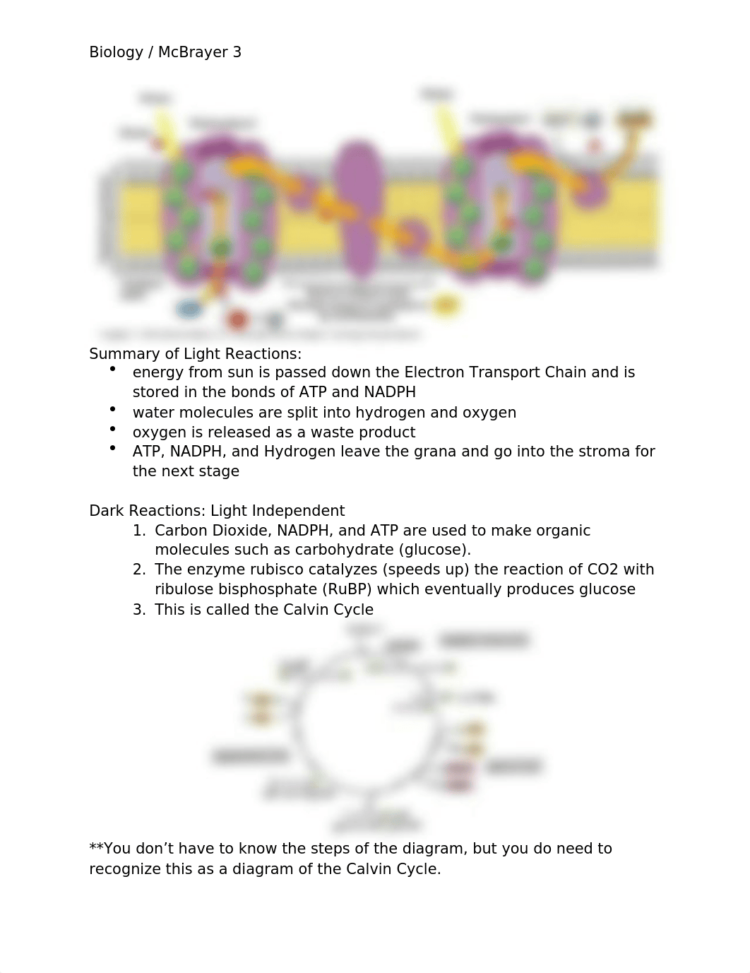 Unit 4 Notes (Biology).docx_dnprns3zpxs_page4