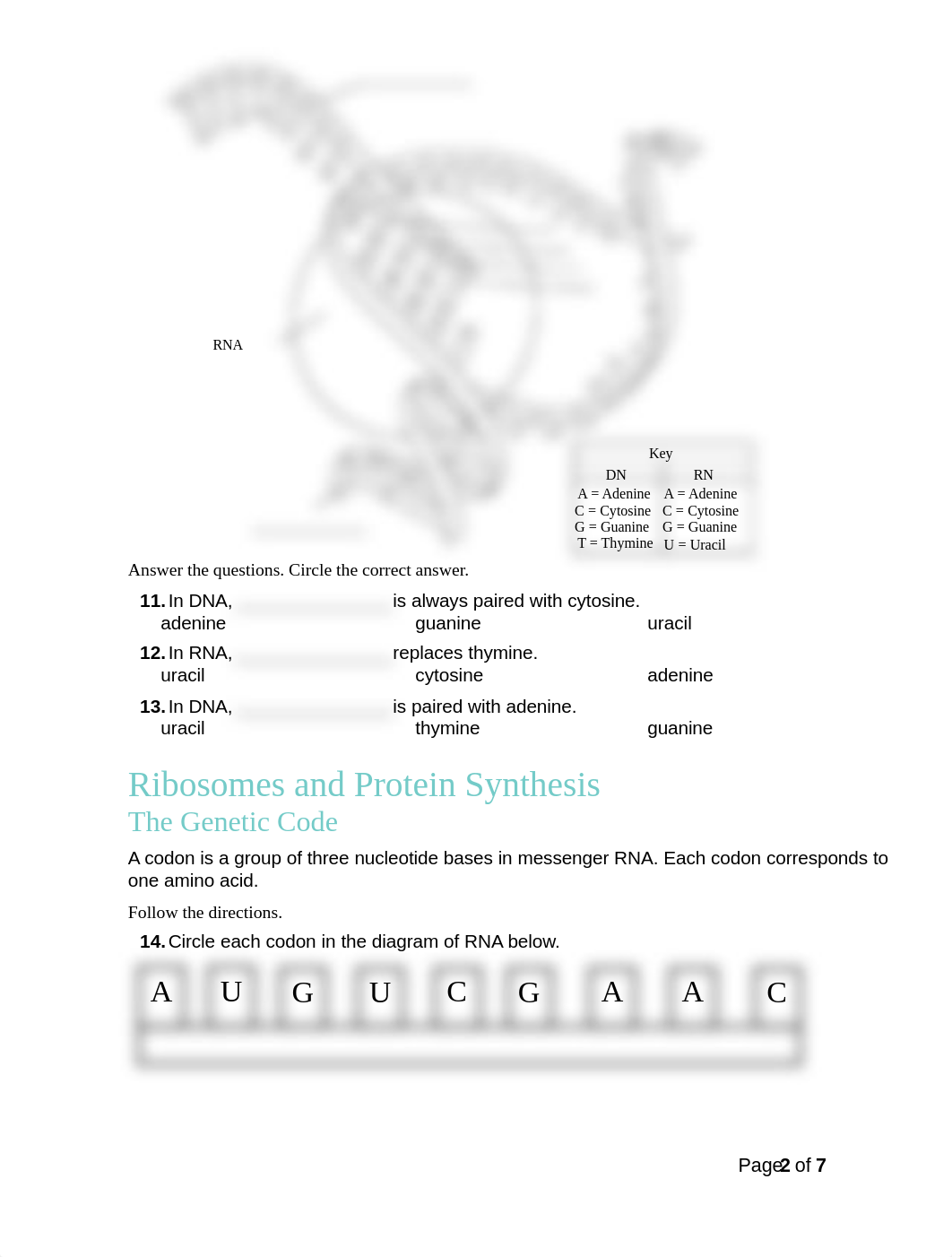 CH 14 TBHW Transcription and Translation.pdf_dnq2i6fmm05_page2