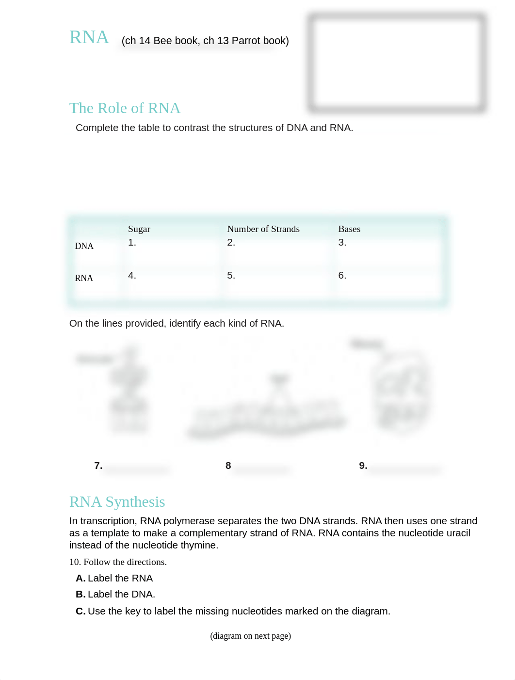 CH 14 TBHW Transcription and Translation.pdf_dnq2i6fmm05_page1