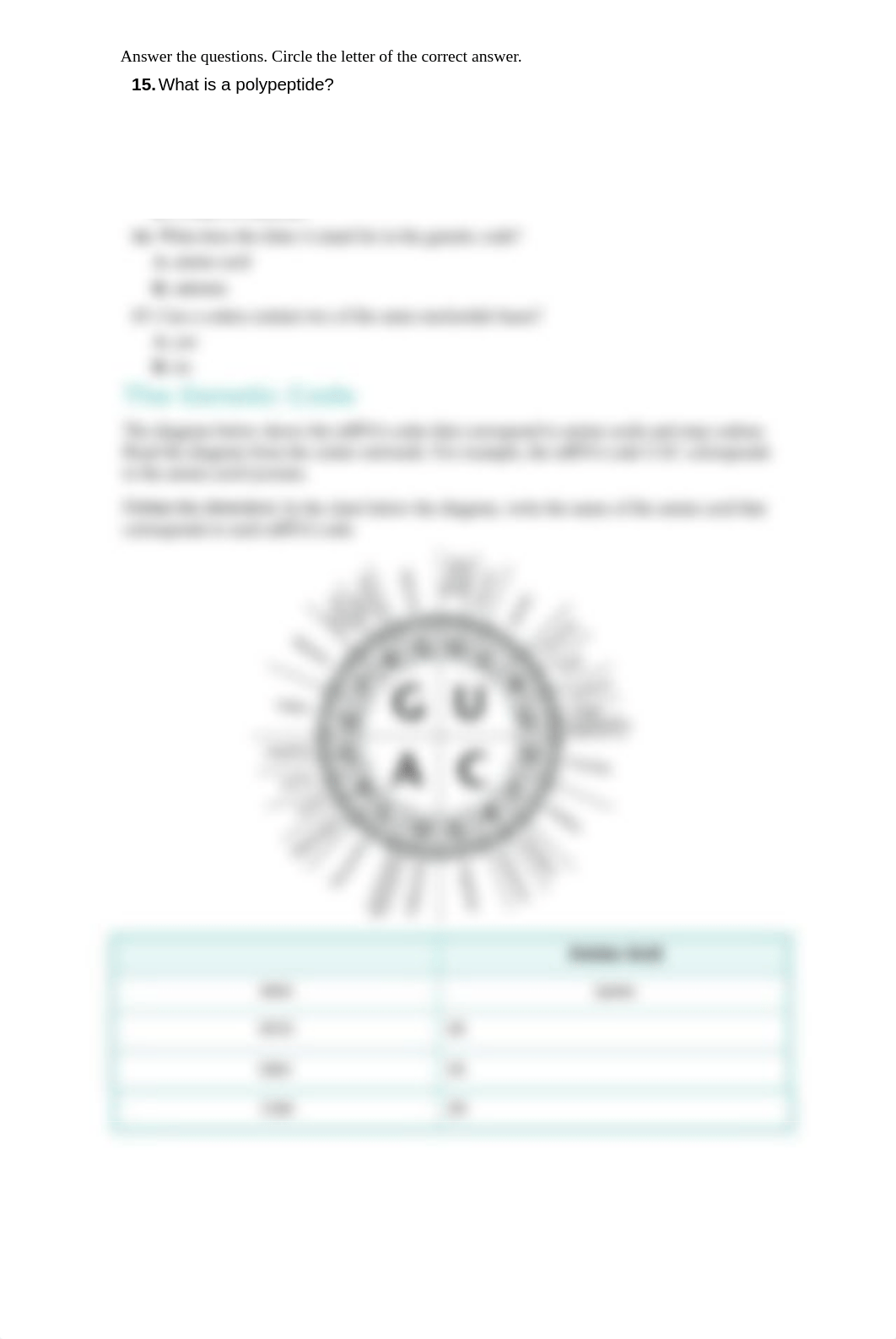 CH 14 TBHW Transcription and Translation.pdf_dnq2i6fmm05_page3