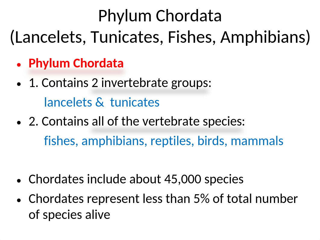 104  Vertebrates 6 (Chordates -Amphibians )(1).ppt_dnqallek0yx_page1