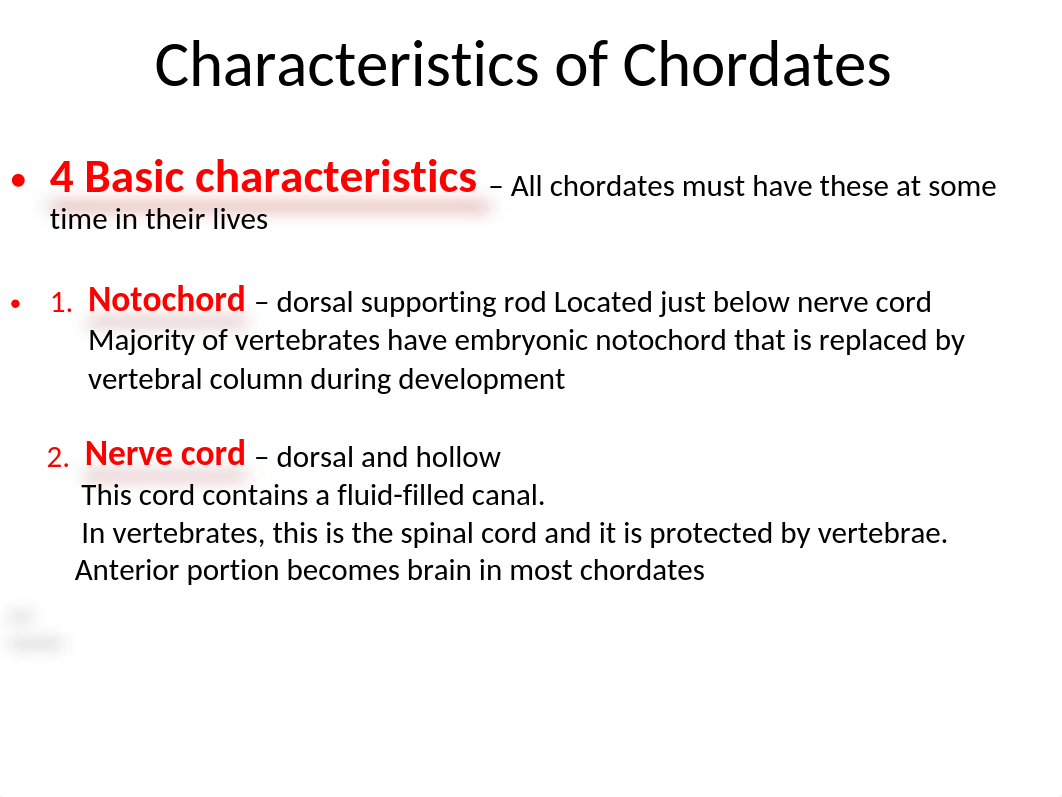 104  Vertebrates 6 (Chordates -Amphibians )(1).ppt_dnqallek0yx_page4