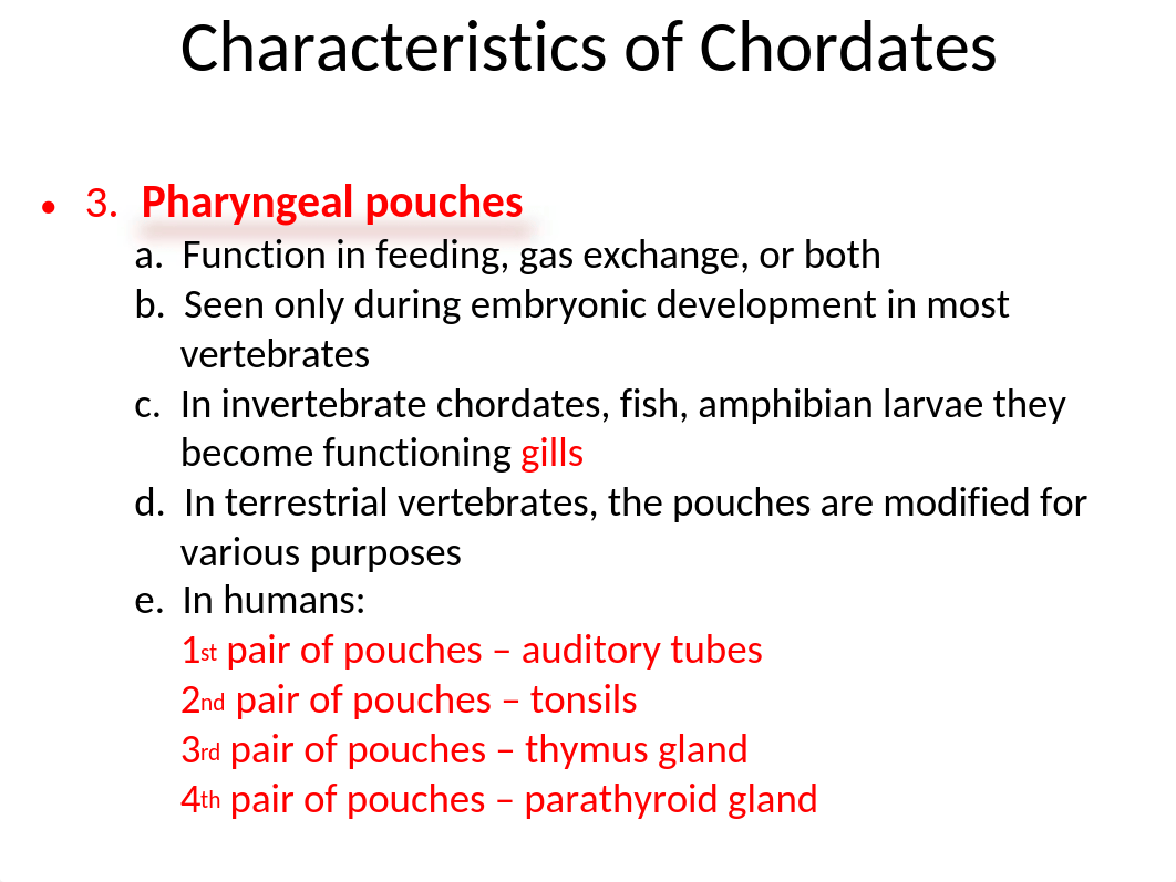 104  Vertebrates 6 (Chordates -Amphibians )(1).ppt_dnqallek0yx_page5