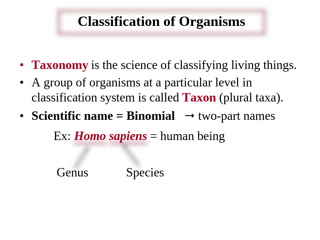 Lab-9_Outline_dnqav3xiyb6_page2