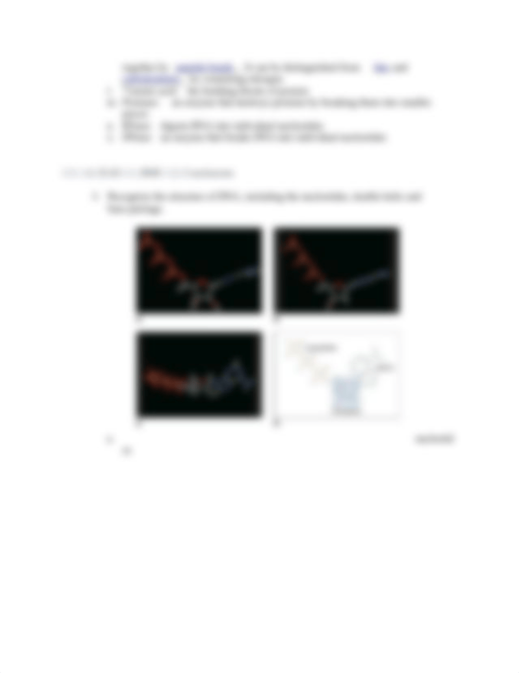 Chapter One_ Heritable Material.docx_dnqcnx1182b_page3