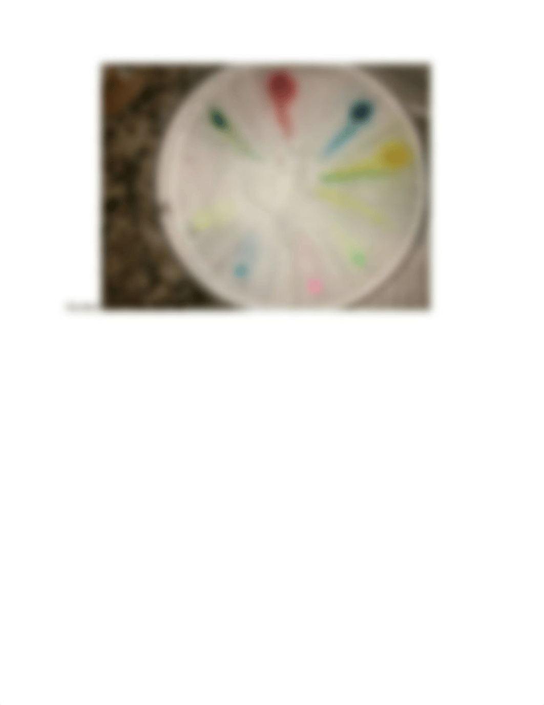 PaperChromatography- chem lab.doc_dnqjcmd3z7k_page5