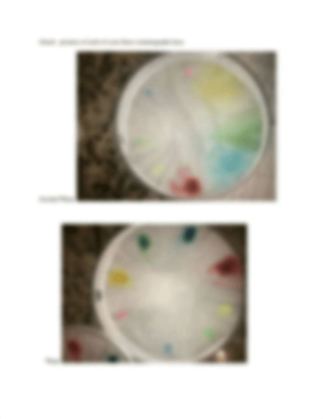 PaperChromatography- chem lab.doc_dnqjcmd3z7k_page4