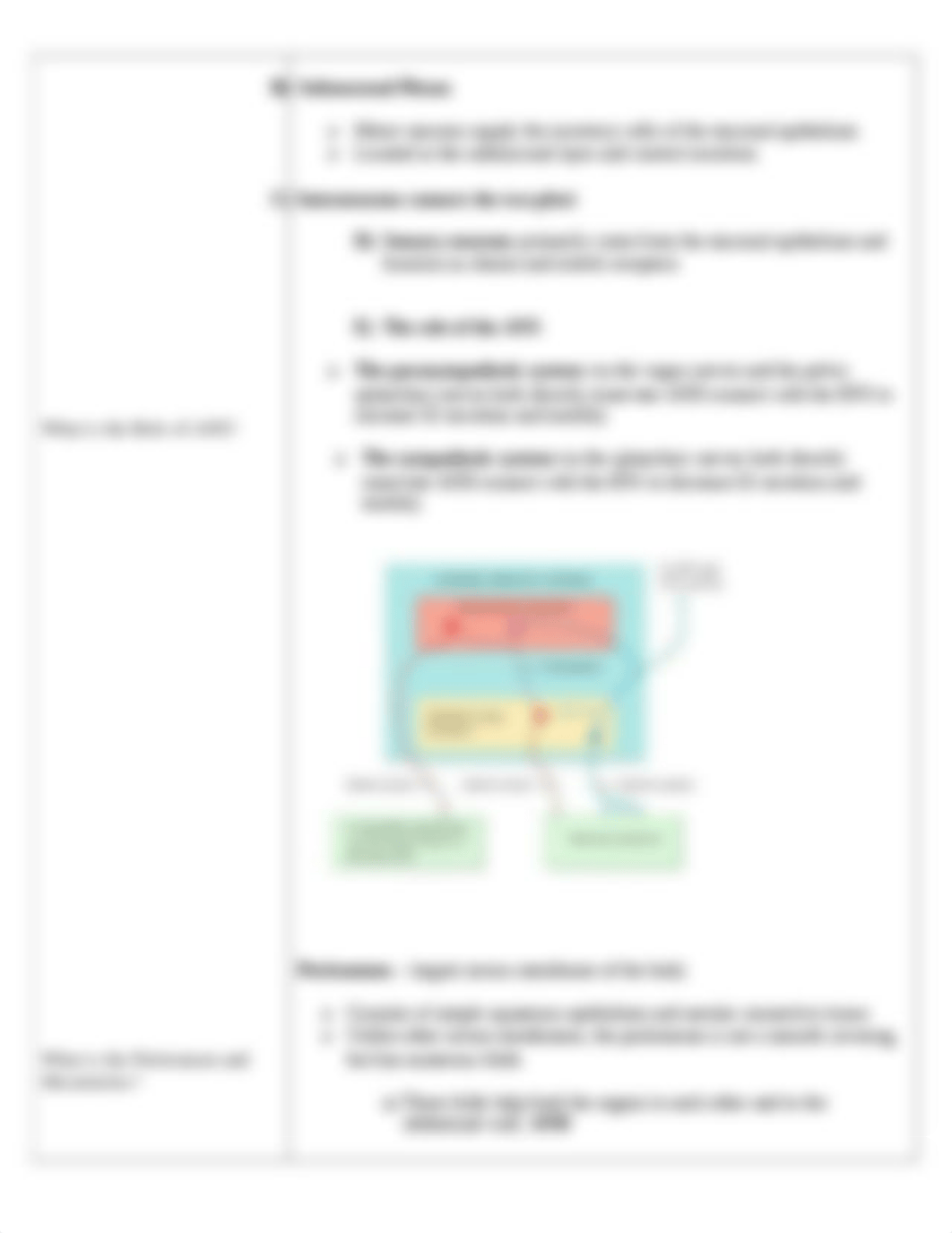 Digestive cornell notes  (1)_dnqw3p3mvmu_page3