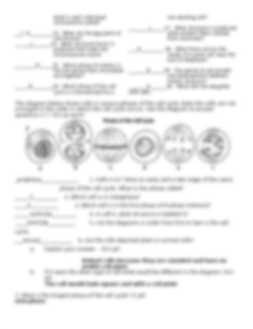 Assignment 1_ The Cell Cycle Worksheet.docx_dnqxmfiu6yi_page2