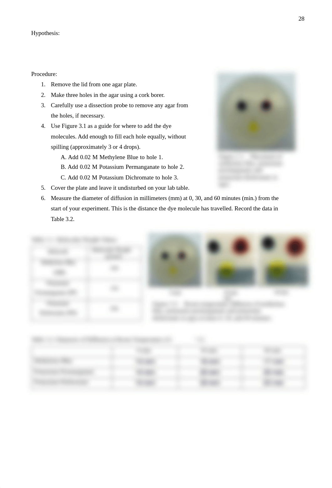 Lab03 Cell Transport S22 (fillable).pdf_dnqy4fqyi47_page2