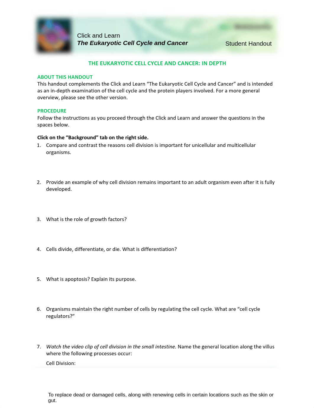 Cellcycle-Worksheet.pdf_dnqzzy8il4t_page1