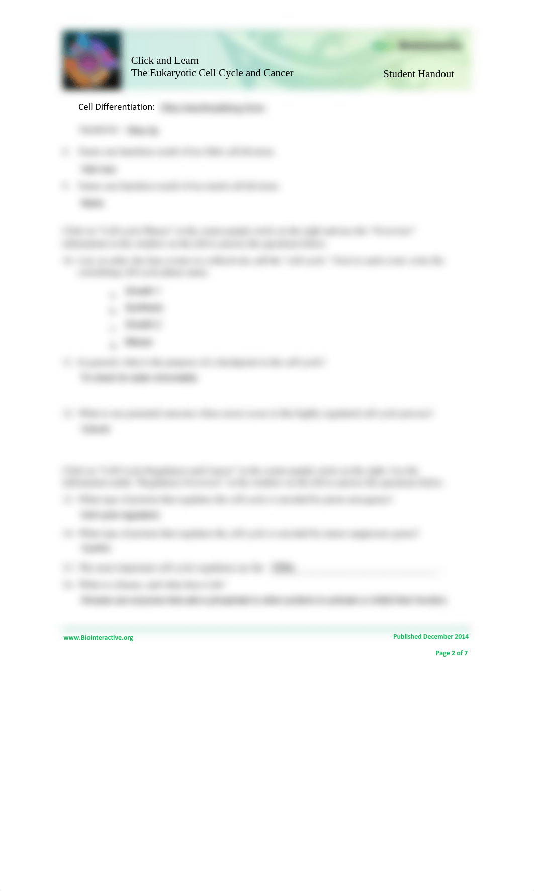 Cellcycle-Worksheet.pdf_dnqzzy8il4t_page2