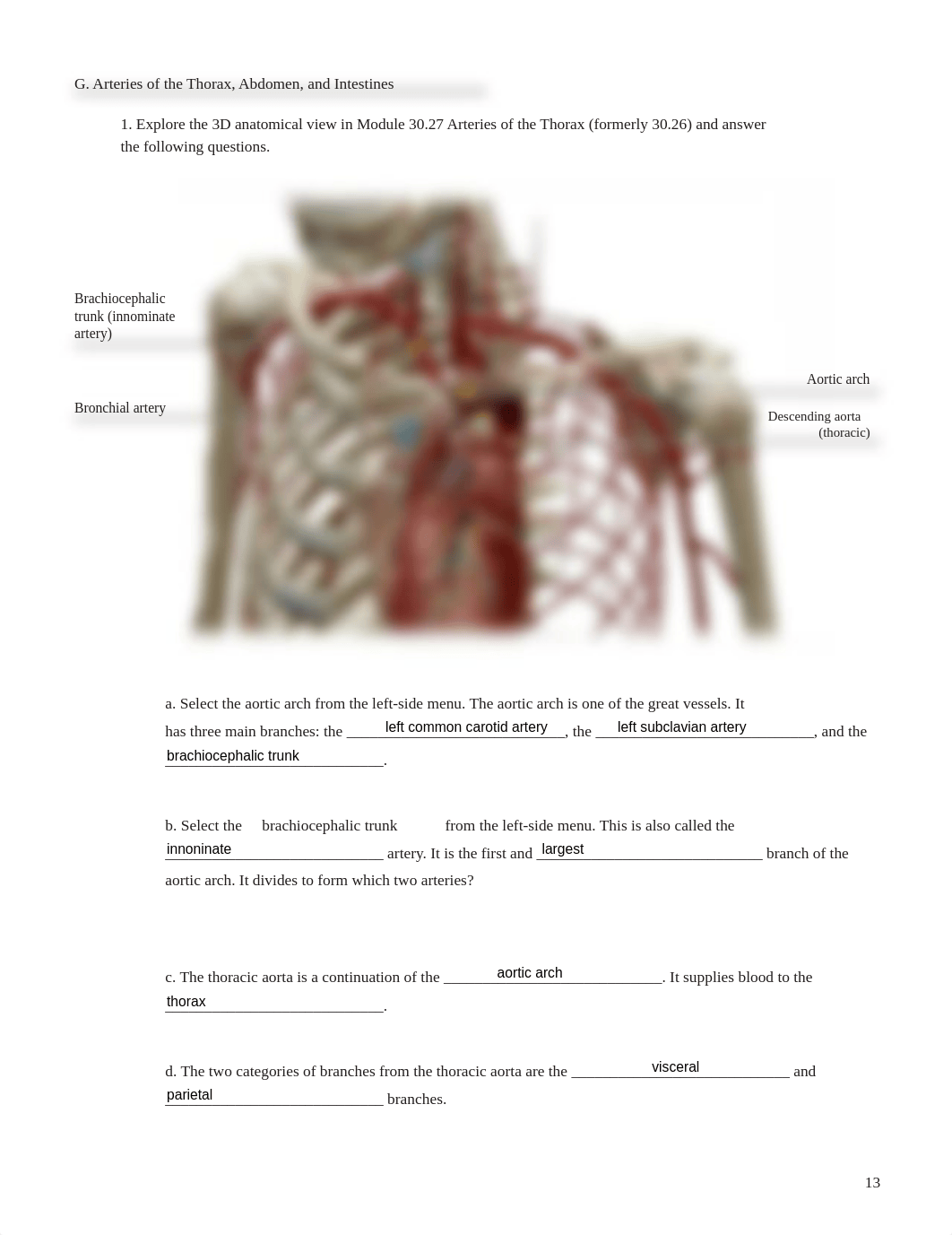 Lab_Activity_-_Blood_Vessels_II.pdf_dnr8bc31sg3_page1