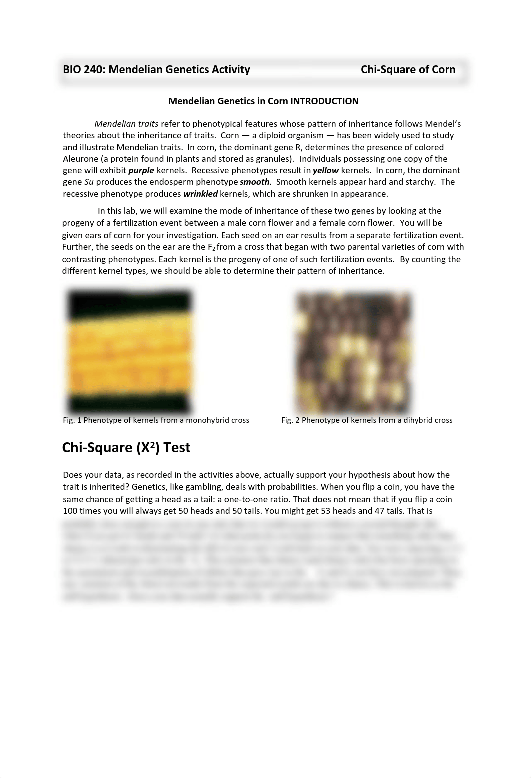 MendelianGeneticinCorn.pdf_dnrnxutdbbt_page1