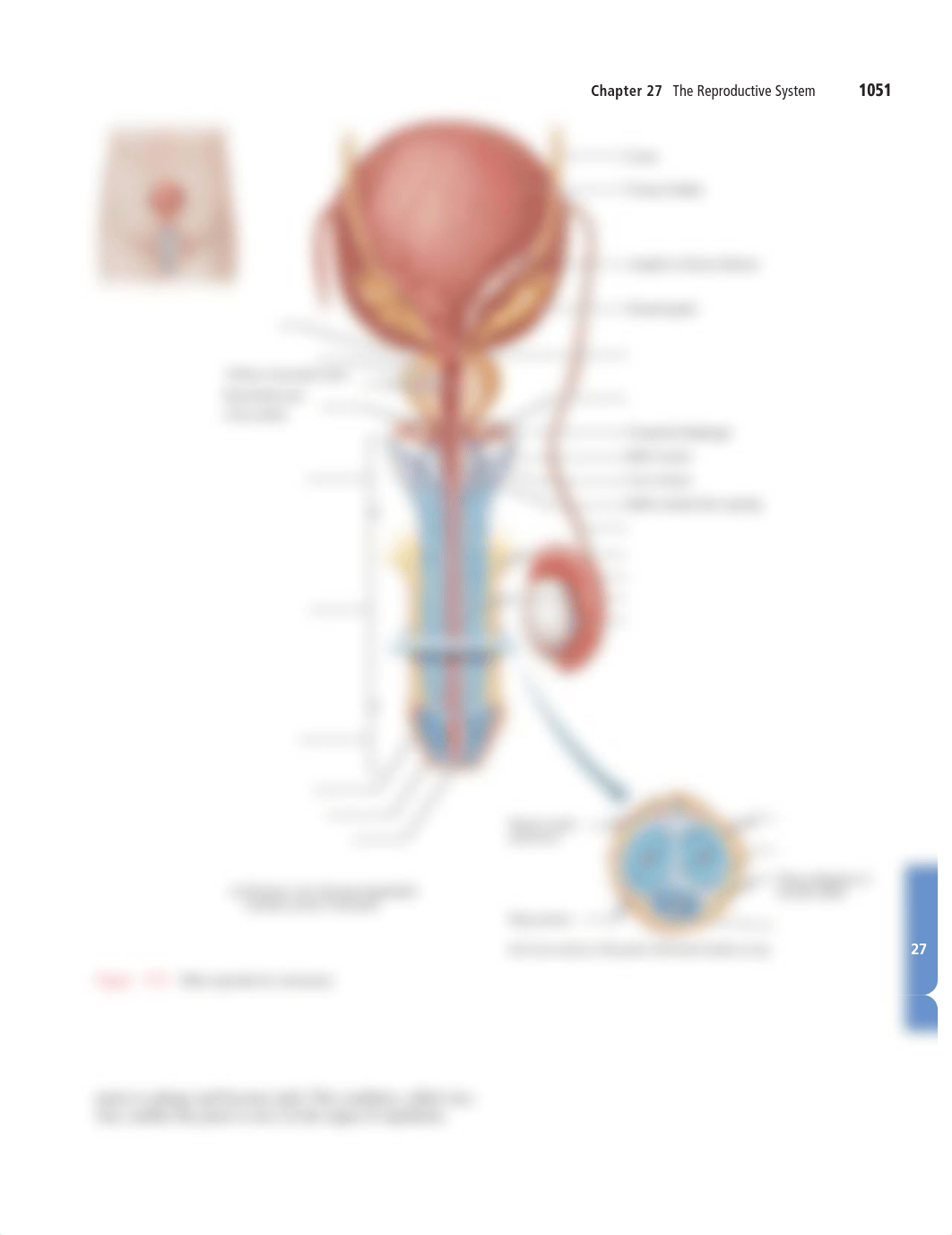 B 1051.pdf_dnrtfm8xxq8_page1