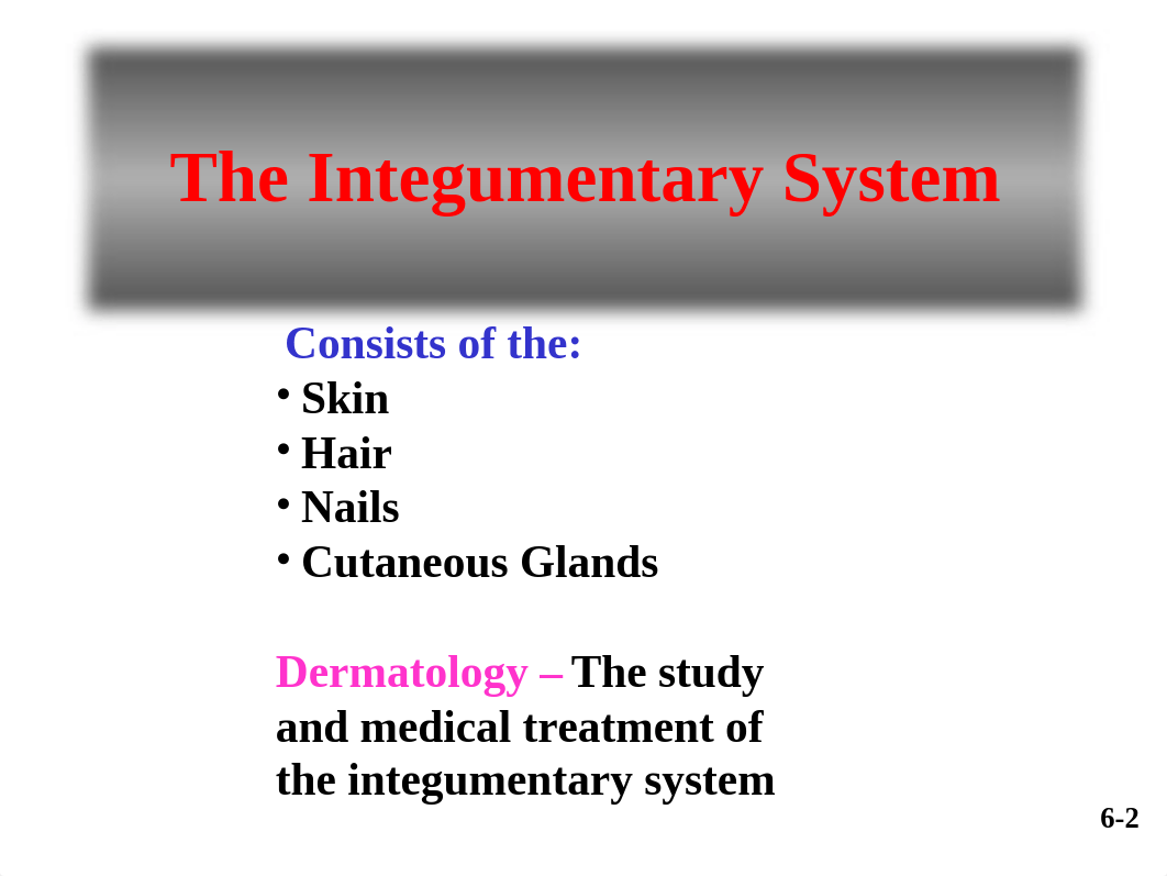 Anatomy and Phsiology I - Integumentary System - Spring 2015 (1)_dnruplilzjg_page3