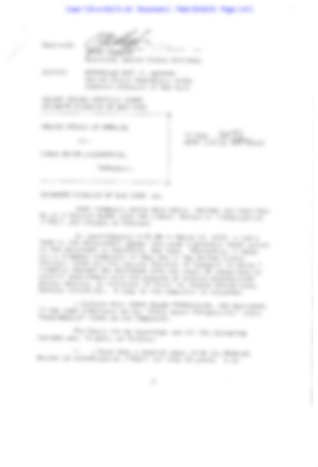 gov.uscourts.nysd.595805.1.0.pdf_dnrwk4hei8h_page1