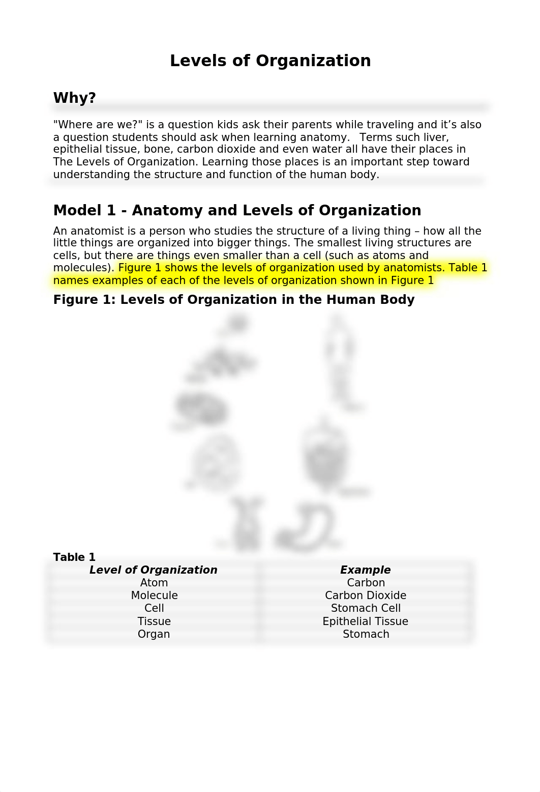 Activity 2- Levels of Organization.docx_dns2cgsavh8_page1