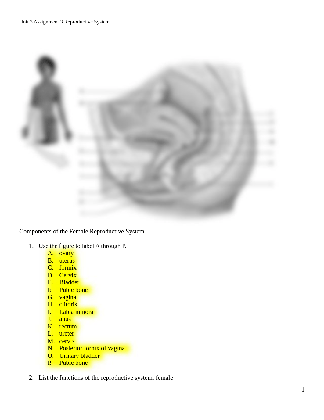 Chapter22Reproductiveanswers.docx_dns4sonaim3_page1