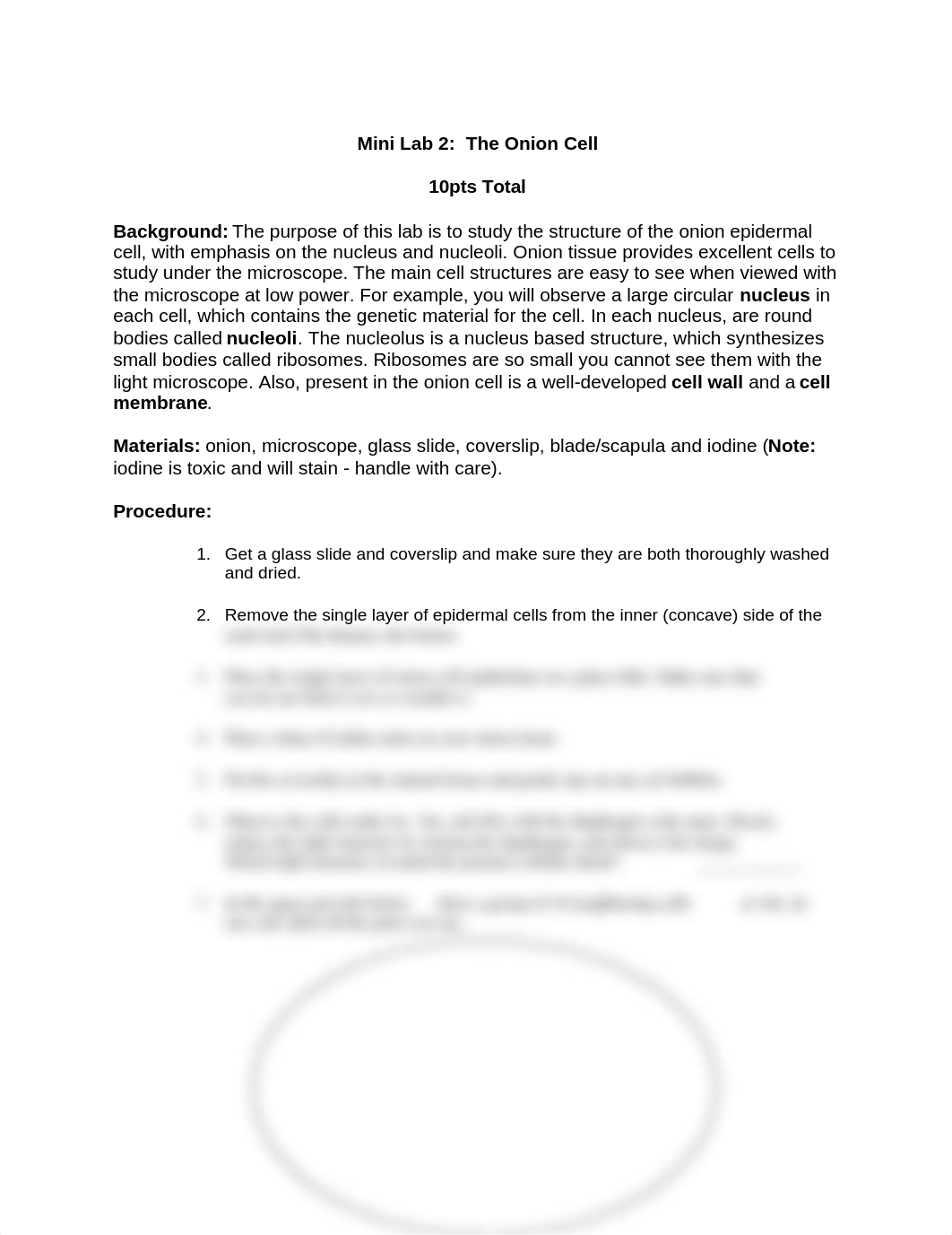 Mini Lab2 The Onion Cell.docx_dns5huilqdy_page1