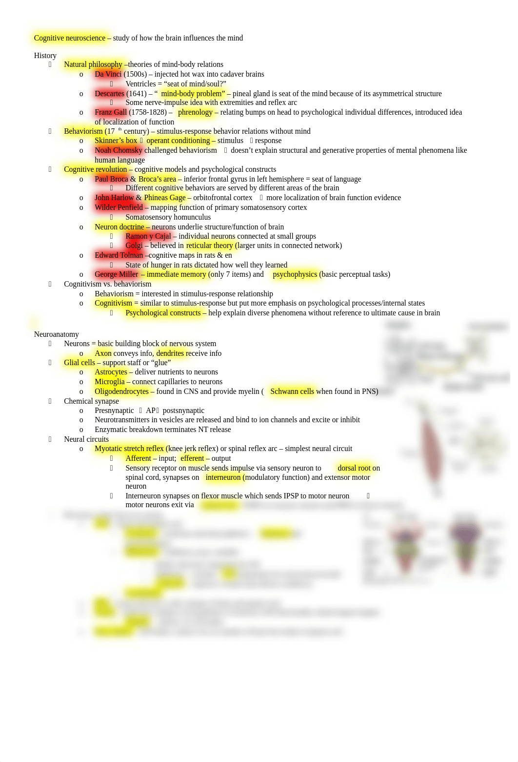 cog neuro study guide 1_dnsal6s70d6_page1