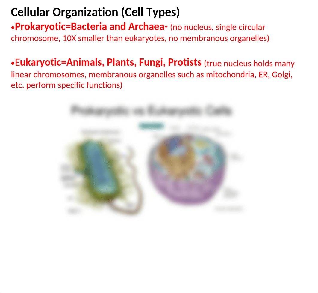 1 Essentials of cells vs viruses and prions no videos(1).pptx_dnsn5fst3y8_page4