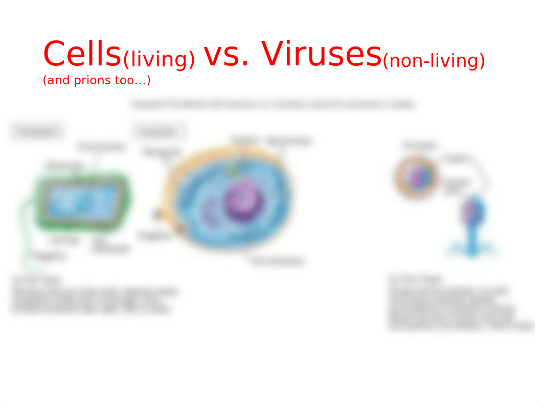 1 Essentials of cells vs viruses and prions no videos(1).pptx_dnsn5fst3y8_page3