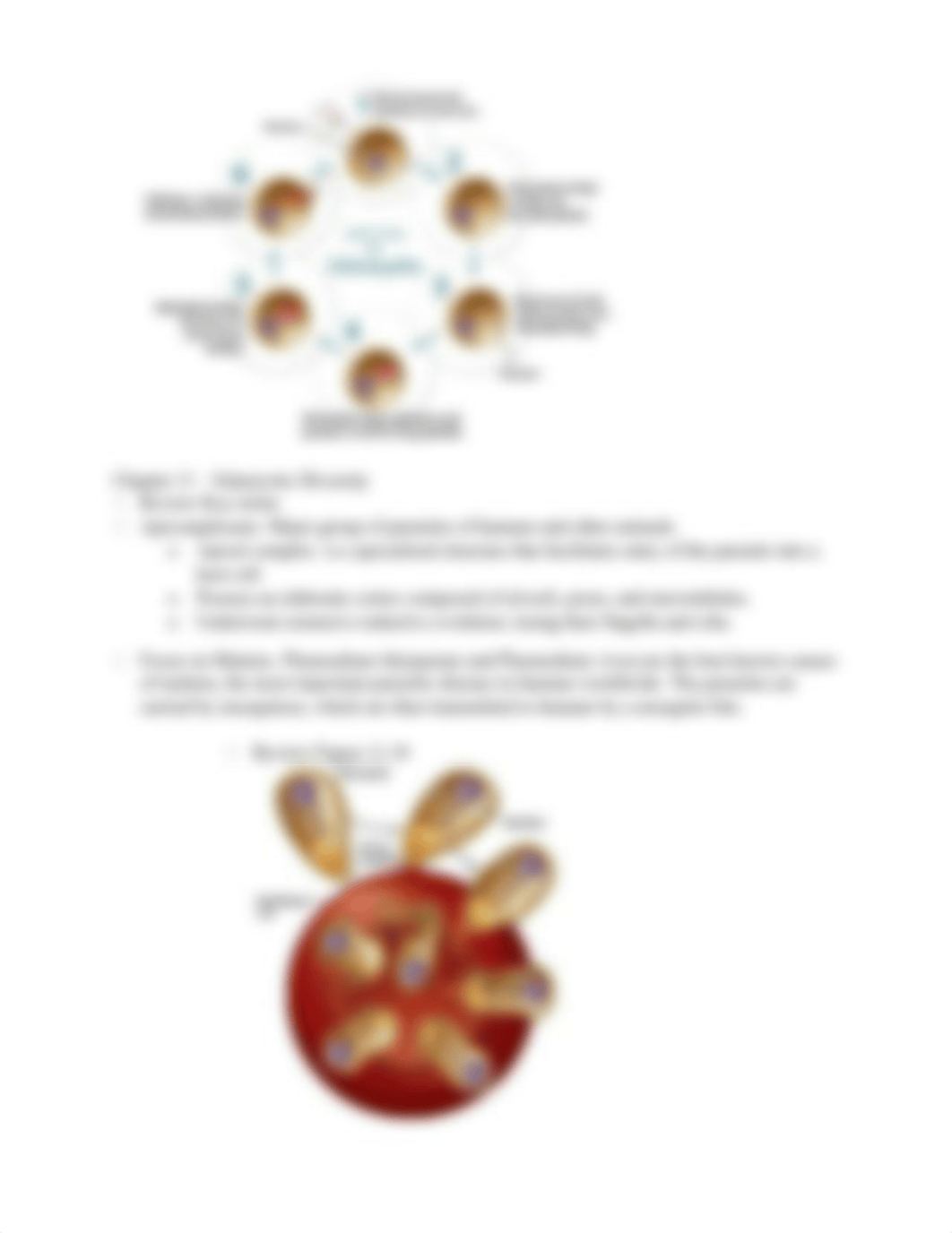 Micro Study guide - Exam 3 .docx_dnsxor2wlol_page3