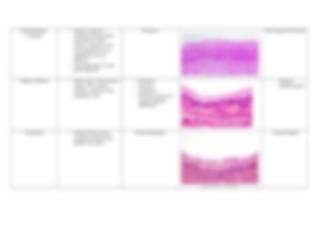 Types of Epithelial Tissue Chart.docx_dnsy1ct1gwx_page2