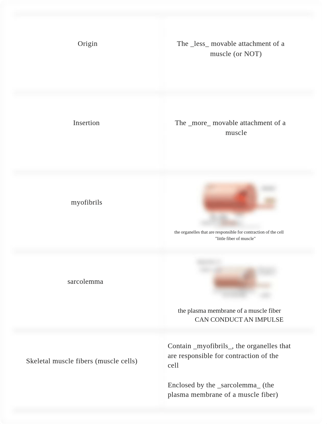 Anatomy 231 Lec Exam 2 RIC Baum_dnt57rqpkmc_page4