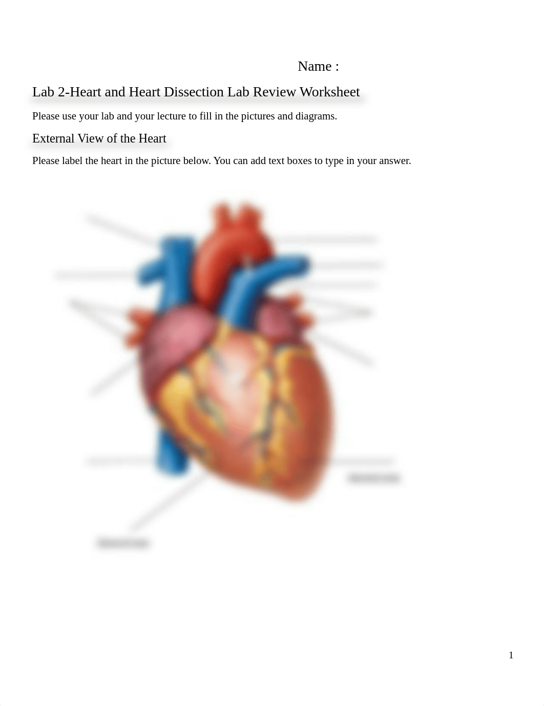 A & P II Lab 4-Heart and Heart Dissection Review Worksheet.docx_dnt8mi6dgts_page1